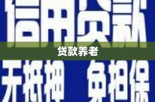阳山贷款养老