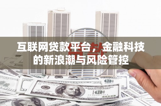 阳山互联网贷款平台，金融科技的新浪潮与风险管控