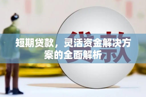 阳山短期贷款，灵活资金解决方案的全面解析