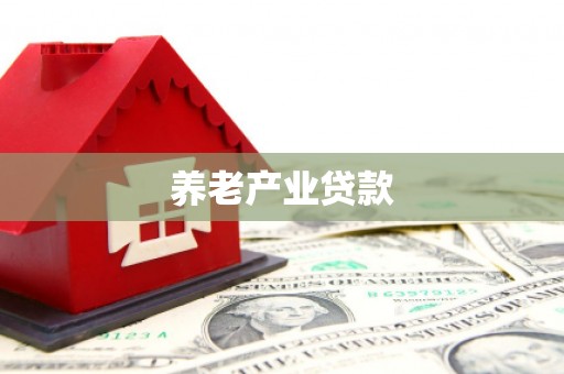 阳山养老产业贷款