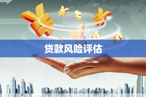 阳山贷款风险评估
