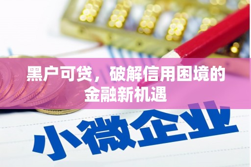 阳山黑户可贷，破解信用困境的金融新机遇