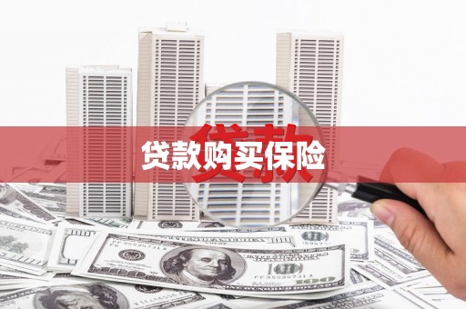 阳山贷款购买保险