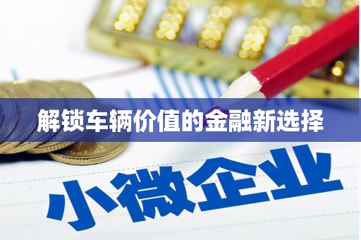 阳山解锁车辆价值的金融新选择