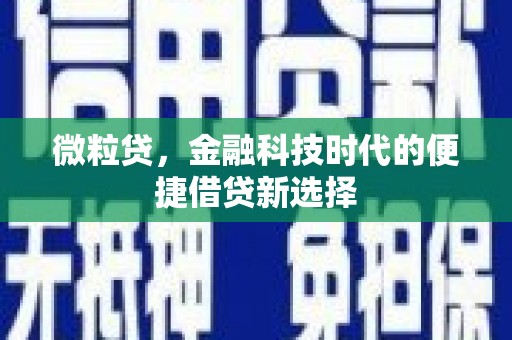 阳山微粒贷，金融科技时代的便捷借贷新选择