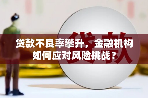 阳山贷款不良率攀升，金融机构如何应对风险挑战？