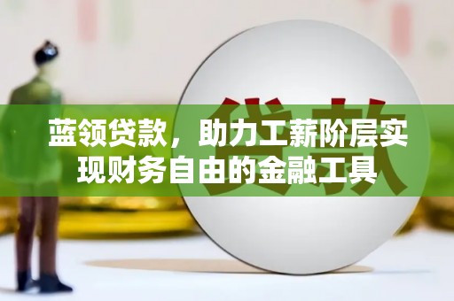 阳山蓝领贷款，助力工薪阶层实现财务自由的金融工具