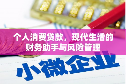 阳山个人消费贷款，现代生活的财务助手与风险管理