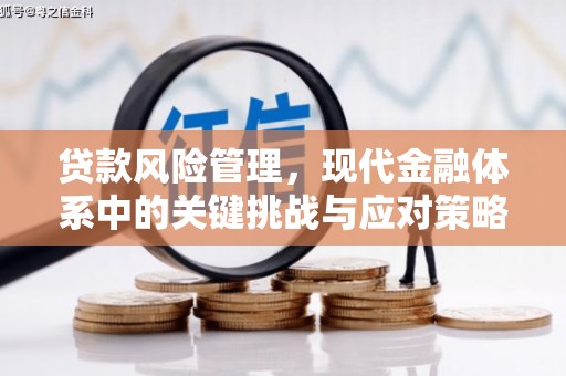 阳山贷款风险管理，现代金融体系中的关键挑战与应对策略