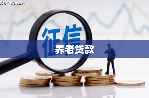 阳山养老贷款