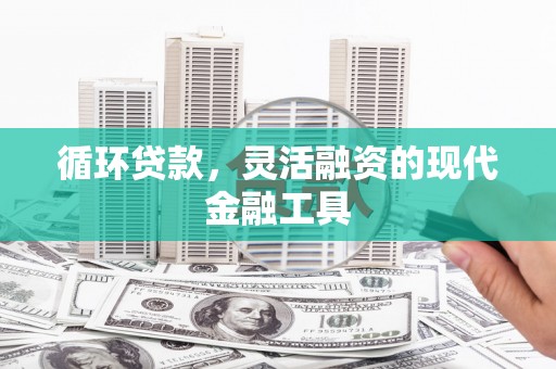阳山循环贷款，灵活融资的现代金融工具