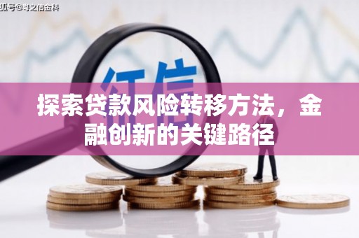 阳山探索贷款风险转移方法，金融创新的关键路径