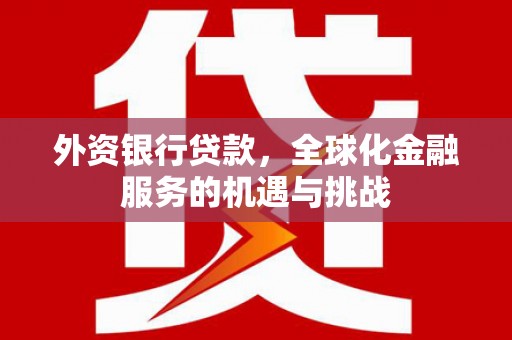 阳山外资银行贷款，全球化金融服务的机遇与挑战
