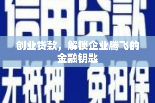 阳山创业贷款，解锁企业腾飞的金融钥匙
