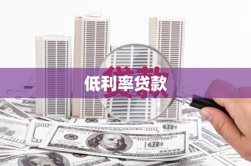 阳山低利率贷款
