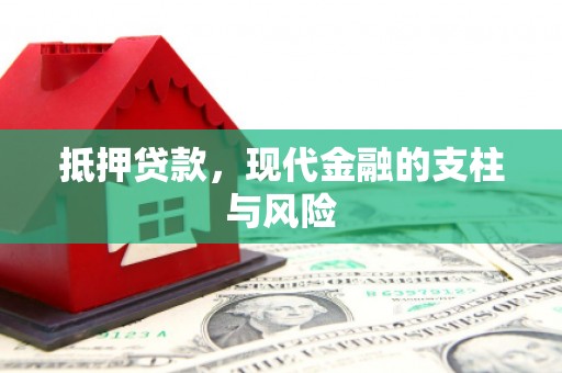 阳山抵押贷款，现代金融的支柱与风险