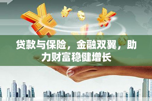 阳山贷款与保险，金融双翼，助力财富稳健增长