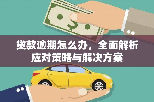 阳山贷款逾期怎么办，全面解析应对策略与解决方案
