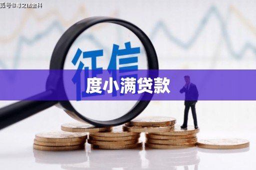 阳山度小满贷款