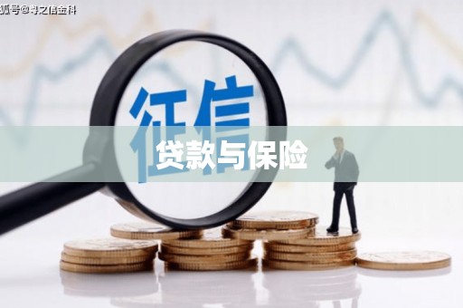 阳山贷款与保险