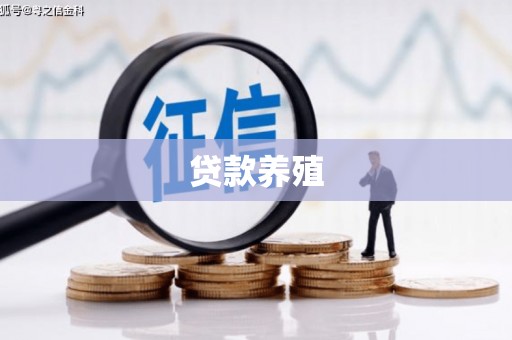 阳山贷款养殖