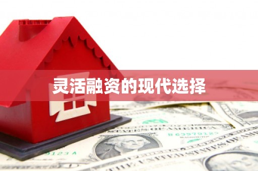 阳山灵活融资的现代选择