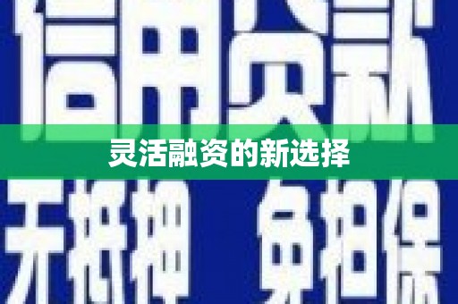 阳山灵活融资的新选择