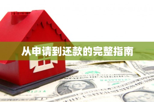 阳山从申请到还款的完整指南