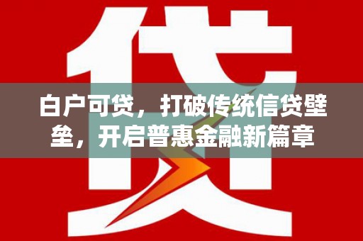 阳山白户可贷，打破传统信贷壁垒，开启普惠金融新篇章