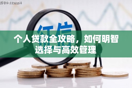 阳山个人贷款全攻略，如何明智选择与高效管理