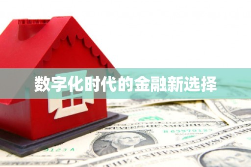 阳山数字化时代的金融新选择