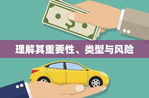 阳山理解其重要性、类型与风险