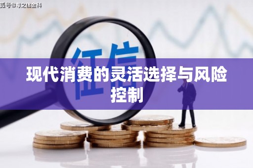 阳山现代消费的灵活选择与风险控制