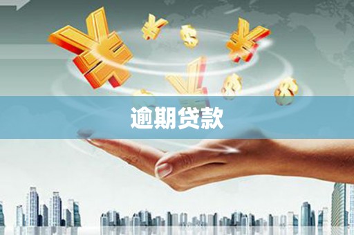 阳山逾期贷款