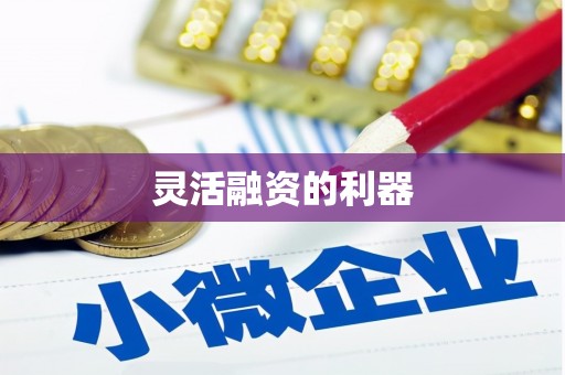 阳山灵活融资的利器