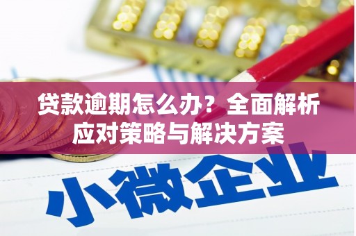 阳山贷款逾期怎么办？全面解析应对策略与解决方案