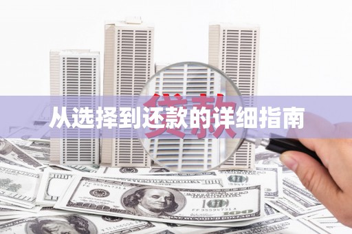 阳山从选择到还款的详细指南