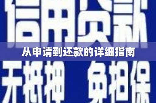 阳山从申请到还款的详细指南