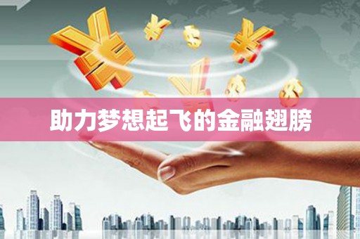 阳山助力梦想起飞的金融翅膀