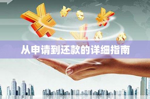 阳山从申请到还款的详细指南
