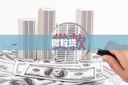 阳山微粒贷