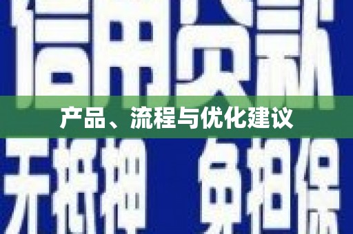 阳山产品、流程与优化建议