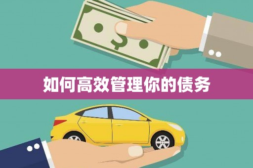 阳山如何高效管理你的债务