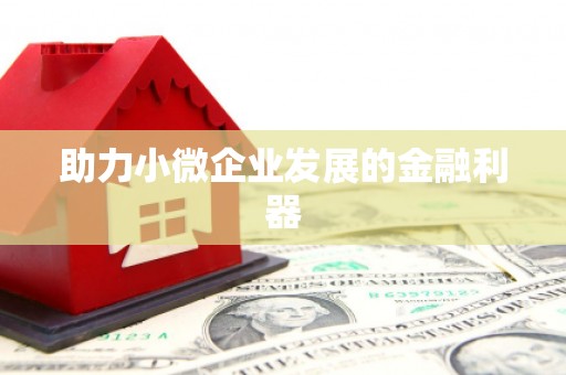 阳山助力小微企业发展的金融利器