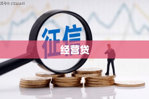 阳山经营贷