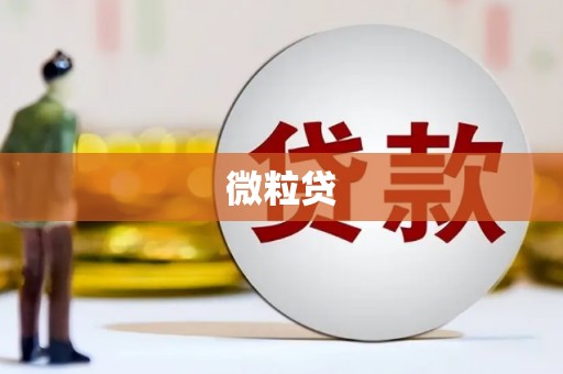 阳山微粒贷