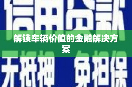 阳山解锁车辆价值的金融解决方案