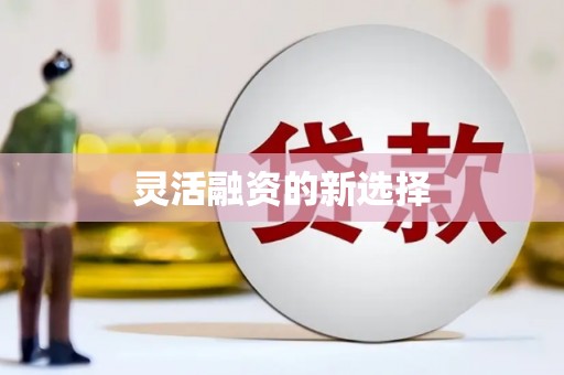 阳山灵活融资的新选择