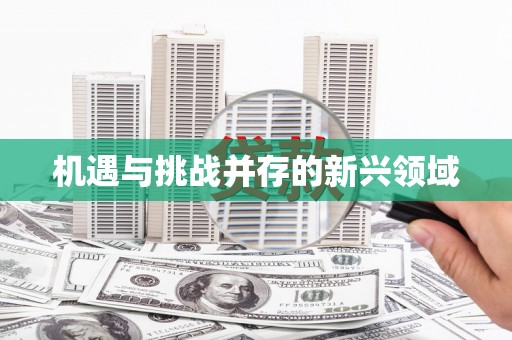 阳山机遇与挑战并存的新兴领域
