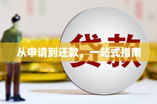 阳山从申请到还款，一站式指南